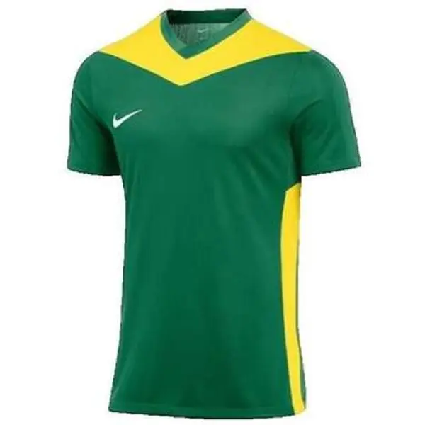 Nike Nike  Kupaći kostimi / Kupaće gaće Park Derby Iv  Nike