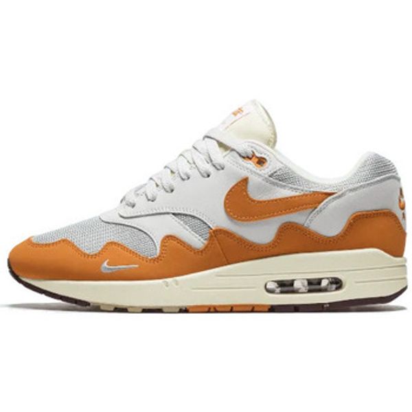 Nike Nike  Modne tenisice Air Max 1 Patta Monarch  Nike
