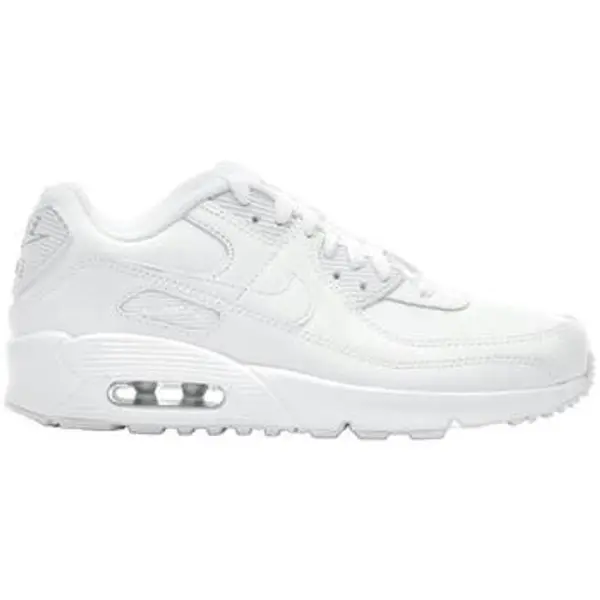 Nike Nike  Modne tenisice Air Max 90 Ltr  Nike