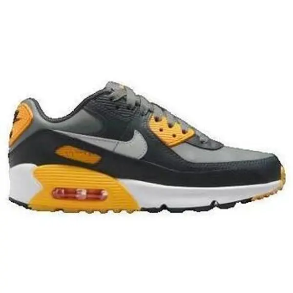 Nike Nike  Modne tenisice Air Max 90  Nike
