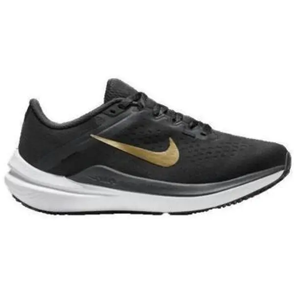 Nike Nike  Modne tenisice Air Winflo 10  Nike
