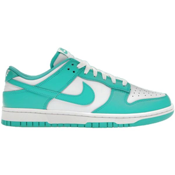 Nike Nike  Modne tenisice Dunk Clear  Nike