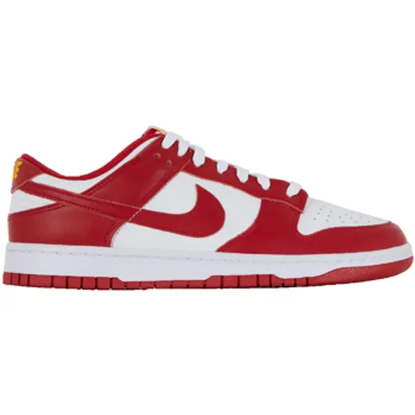 Nike Nike  Modne tenisice Dunk Gym  Nike