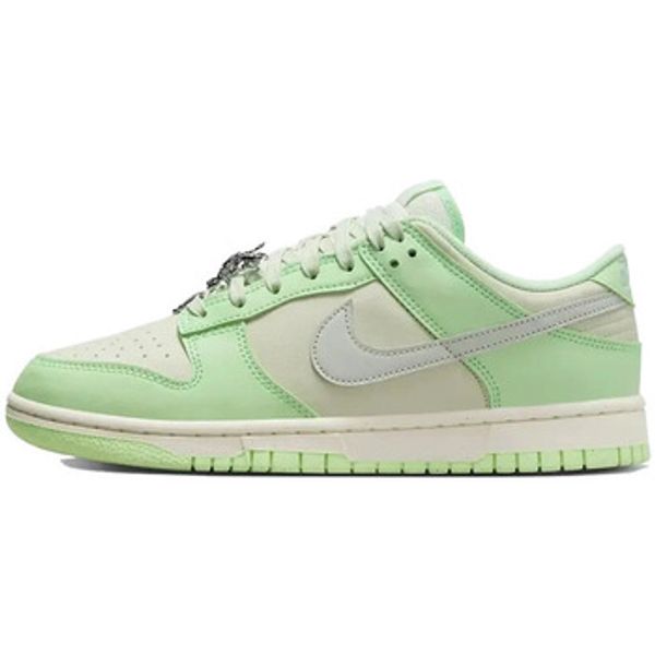 Nike Nike  Modne tenisice Dunk Low SE Next Nature Sea Glass  Nike