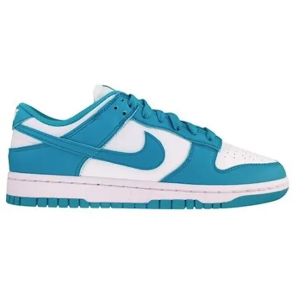 Nike Nike  Niske cipele DD1873105  Nike