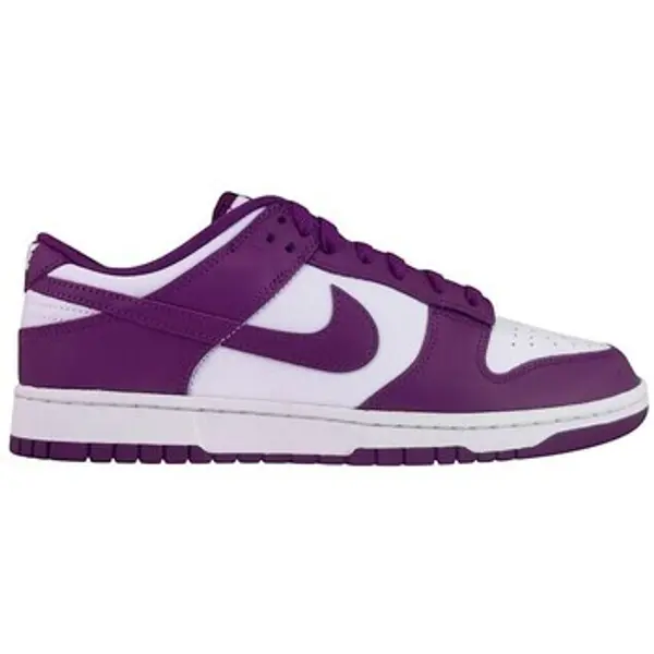 Nike Nike  Niske cipele Dunk Low Retro  Nike