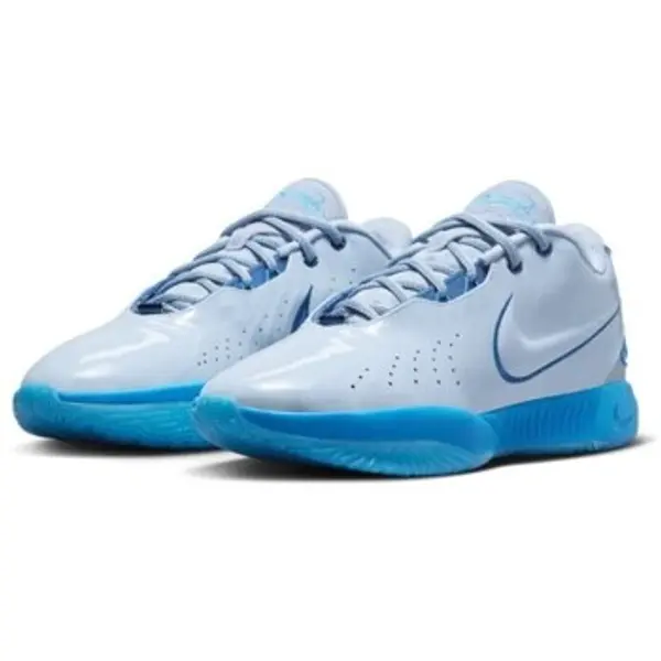 Nike Nike  Niske cipele Lebron Xxi  Nike