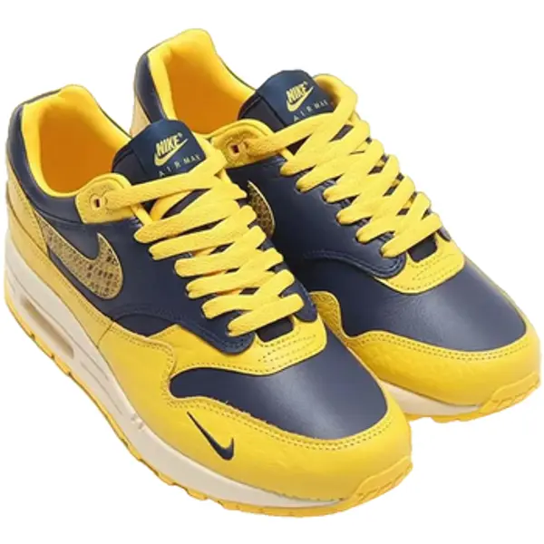 Nike Nike  Niske tenisice Air Max 1 Co Jp  Nike