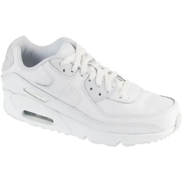Nike Nike  Niske tenisice Air Max 90 GS  Nike