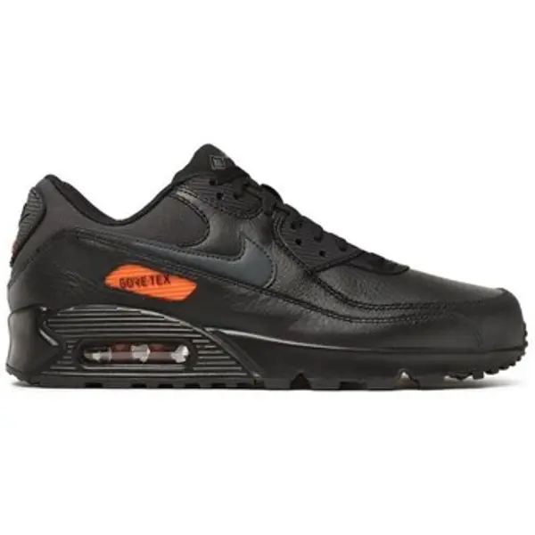 Nike Nike  Niske tenisice Air Max 90 Gtx  Nike