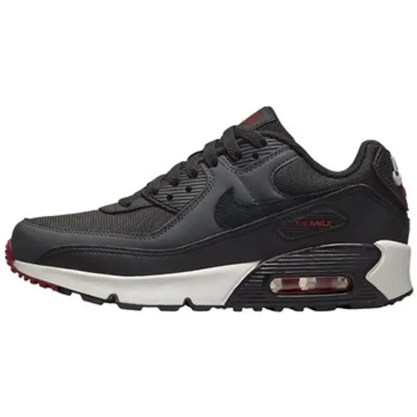 Nike Nike  Niske tenisice Air Max 90 Ltr GS  Nike