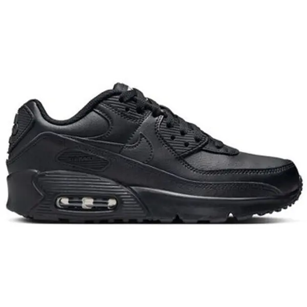 Nike Nike  Niske tenisice Air Max 90 LTR  Nike