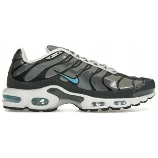Nike Nike  Niske tenisice Air Max Plus  Nike
