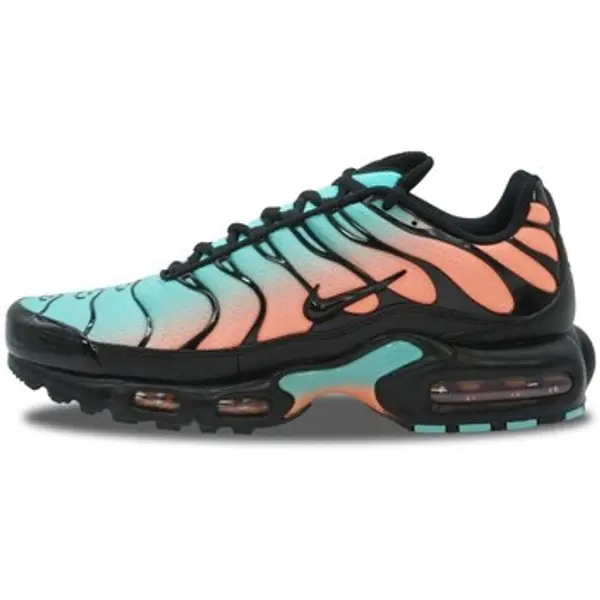 Nike Nike  Niske tenisice Air Max Plus  Nike