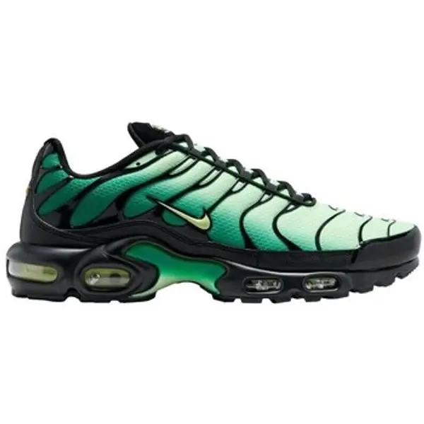 Nike Nike  Niske tenisice Air Max Plus TN  Nike