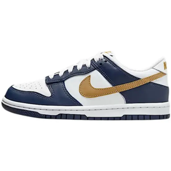 Nike Nike  Niske tenisice Baskets  Dunk Low cuir synthétique  Nike