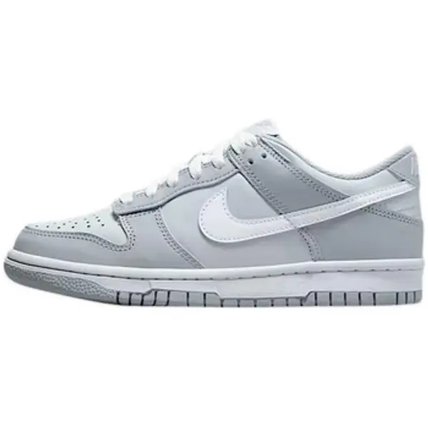 Nike Nike  Niske tenisice Baskets  Dunk Low gris  Nike