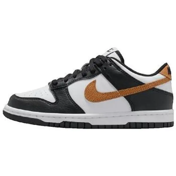 Nike Nike  Niske tenisice Baskets  Dunk Low GS multicolore  Nike
