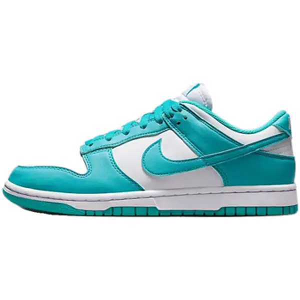 Nike Nike  Niske tenisice Baskets  Dunk Low Next Nature cuir  Nike