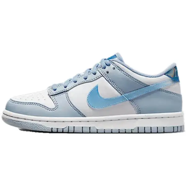 Nike Nike  Niske tenisice Baskets  Dunk Low Next Nature réfléchissantes  Nike