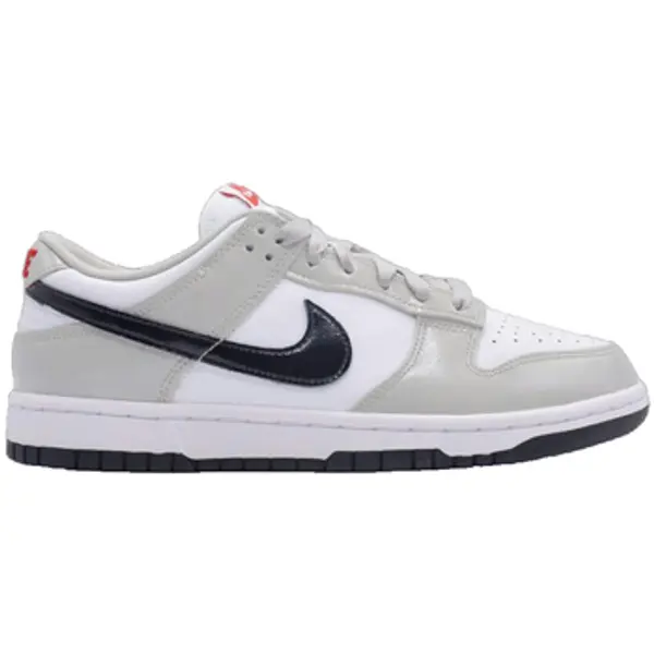 Nike Nike  Niske tenisice Dunk Light Iron Ore  Nike