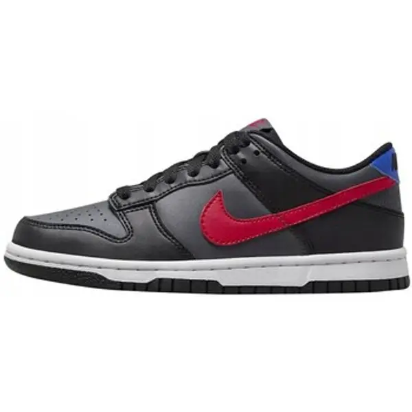 Nike Nike  Niske tenisice Dunk Low Gs  Nike