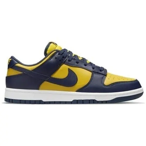 Nike Nike  Niske tenisice Dunk Low  Nike