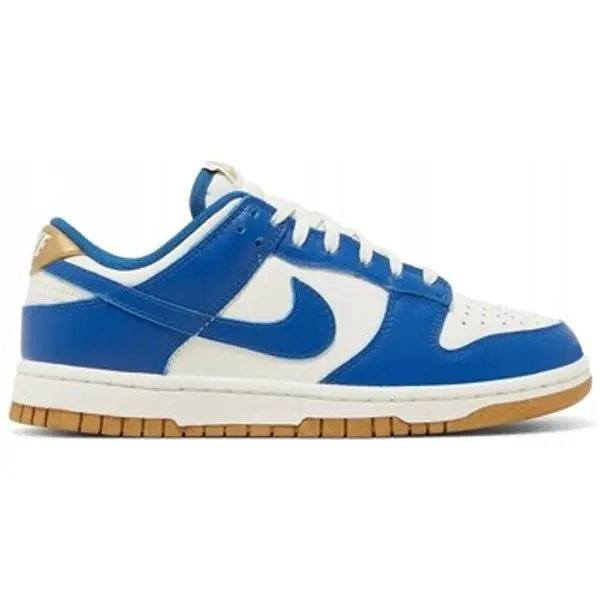 Nike Nike  Niske tenisice Dunk  Nike