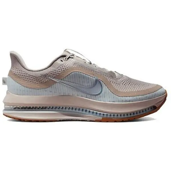 Nike Nike  Niske tenisice Pegasus  Nike