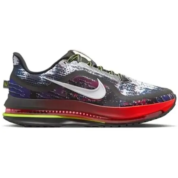 Nike Nike  Niske tenisice Pegasus  Nike