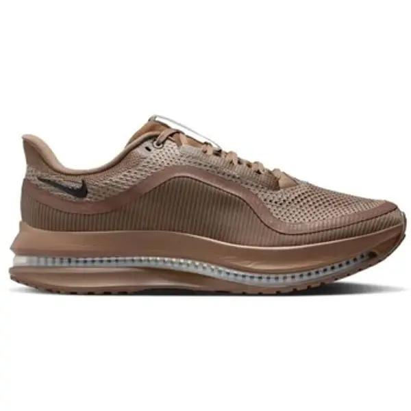 Nike Nike  Niske tenisice Pegasus Premium  Nike