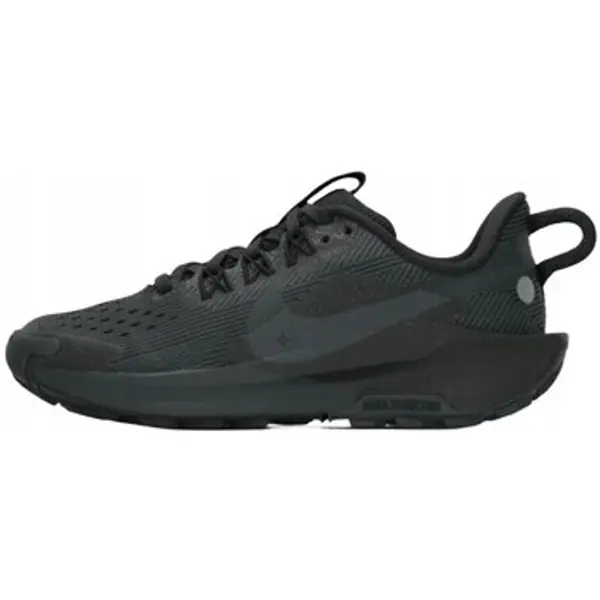 Nike Nike  Niske tenisice Pegasus Trail 5  Nike