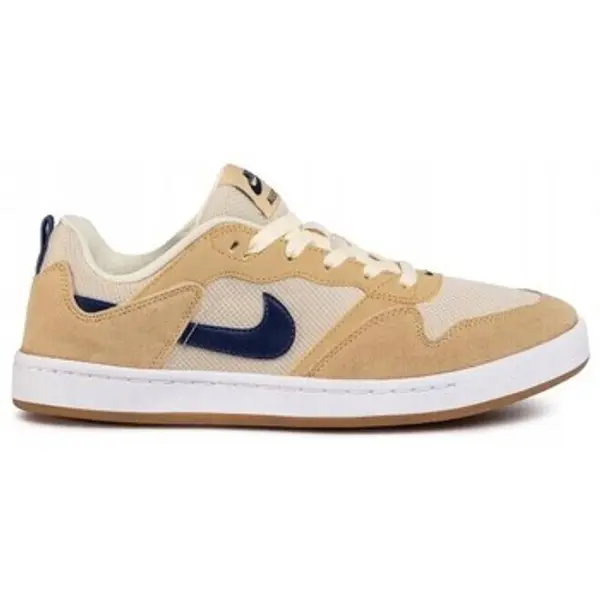 Nike Nike  Niske tenisice SB Alleyoop  Nike