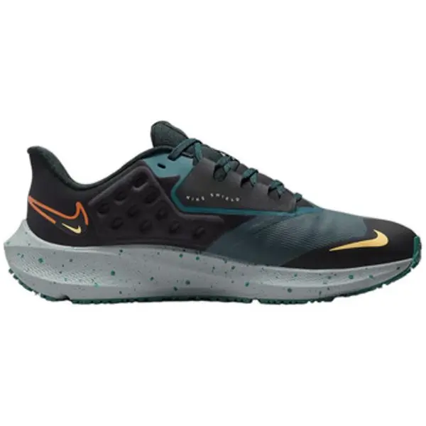Nike Nike  Running/Trail Chaussures de running  Pegasus imperméables  Nike