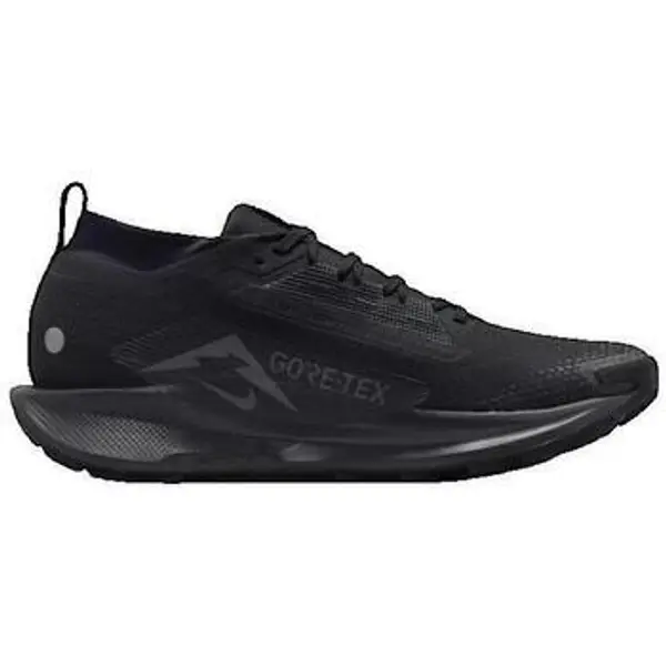 Nike Nike  Running/Trail Pegasus Trail 5 Gore-Tex  Nike