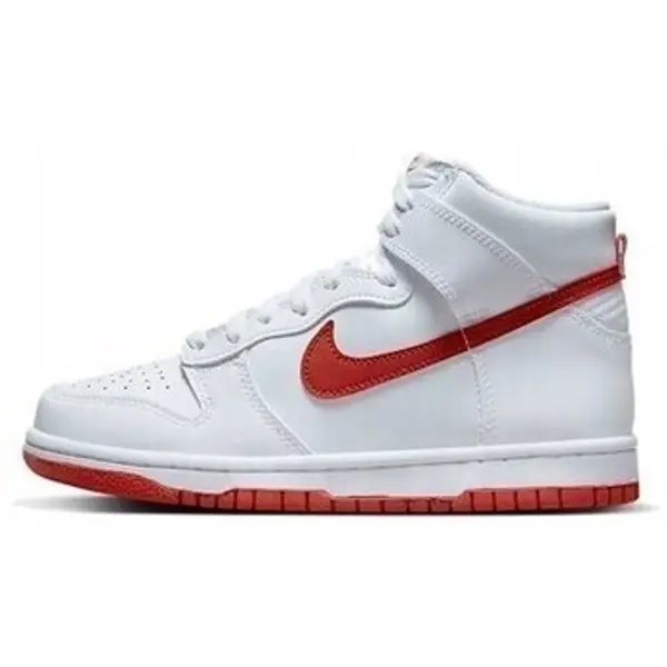 Nike Nike  Visoke tenisice Dunk High  Nike