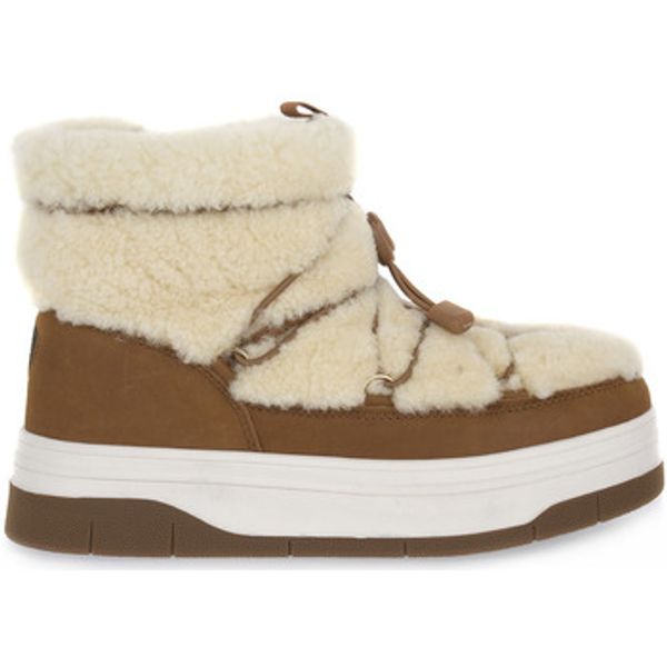 Pajar Pajar  Polučizme TAN JANIE  Pajar