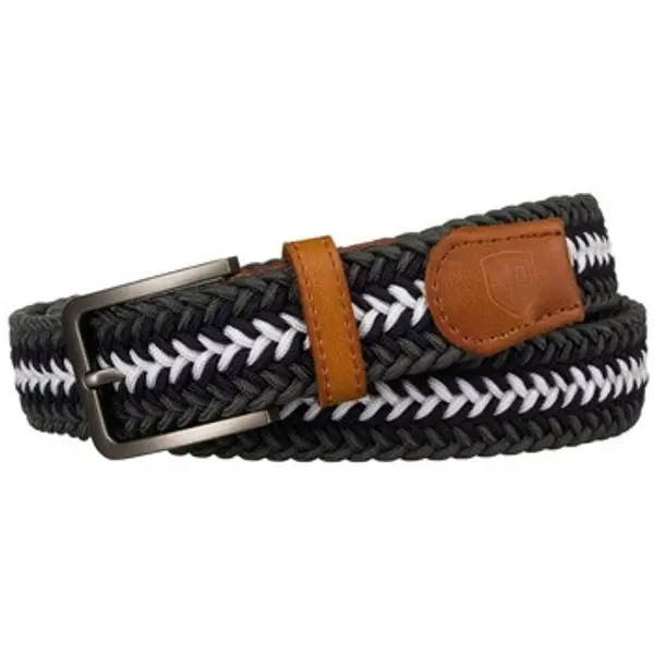 Peterson Peterson  Remeni rovicky290400  Peterson