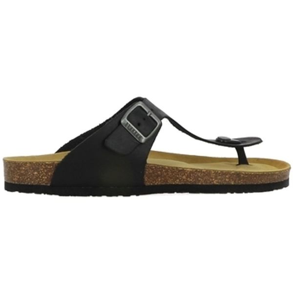 Plakton Plakton  Japanke BOLERO  Plakton