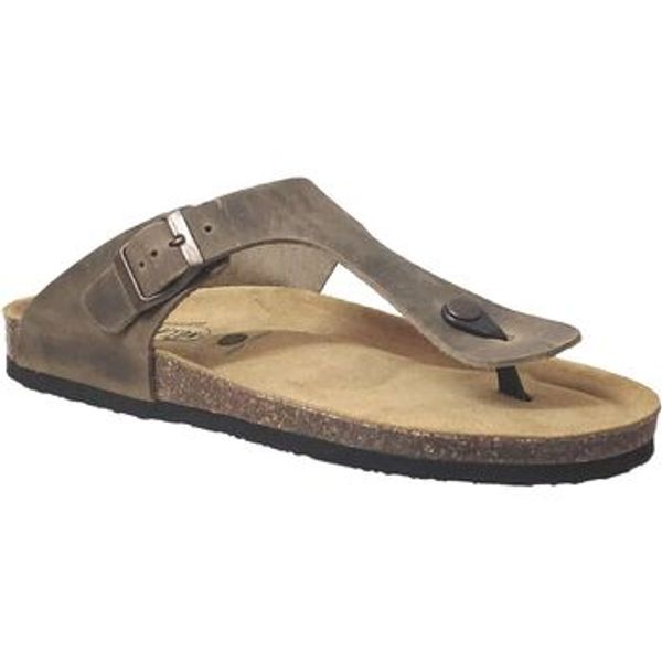 Plakton Plakton  Japanke Bolero  Plakton