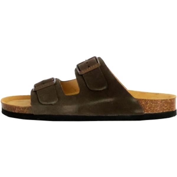 Plakton Plakton  Natikače 232748  Plakton