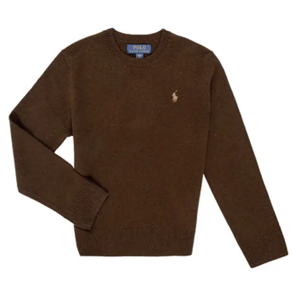 Polo Ralph Lauren Polo Ralph Lauren  Puloveri LS CN TONAL-SWEATER-PULLOVER  Polo Ralph Lauren