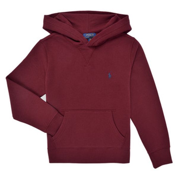 Polo Ralph Lauren Polo Ralph Lauren  Sportske majice LS PO HOOD-TOPS-KNIT  Polo Ralph Lauren