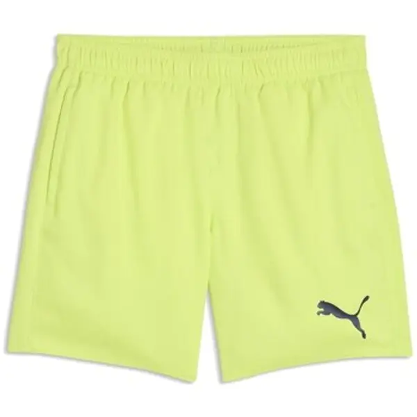 Puma Puma  Bermude i kratke hlače 93813808  Puma