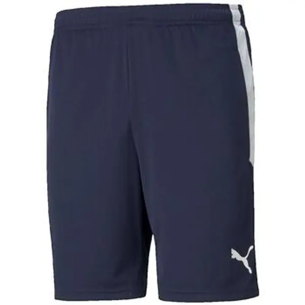 Puma Puma  Bermude i kratke hlače Short  Teamliga Training bleu  Puma