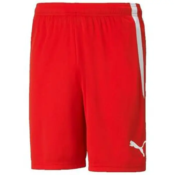 Puma Puma  Bermude i kratke hlače Shorts  TeamLiga Performance Rouge  Puma