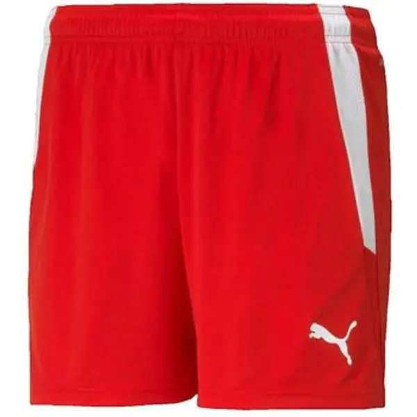 Puma Puma  Bermude i kratke hlače Shorts  Teamliga Rouge  Puma