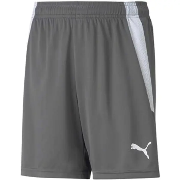 Puma Puma  Bermude i kratke hlače Teamliga Jr  Puma