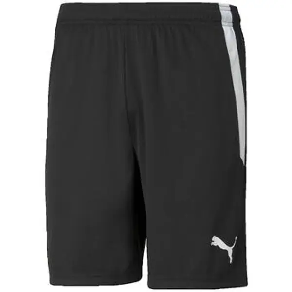 Puma Puma  Bermude i kratke hlače Teamliga  Puma