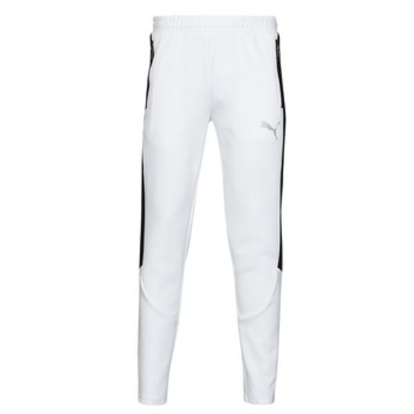 Puma Puma  Donji dio trenirke EVOSTRIPE PANTS  Puma